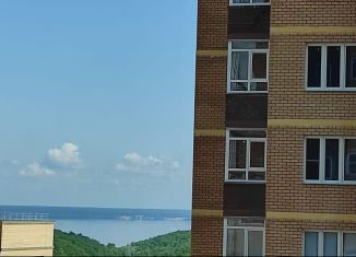 Сдается в аренду 2-комнатная квартира, 70 м2, Чебоксары, улица Филиппа Лукина, 16