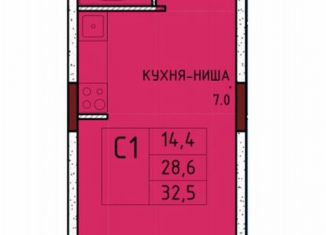 Продается квартира студия, 32.5 м2, село Осиновая Гора