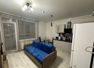 Продажа квартиры студии, 25.4 м2, Пермь, ЖК АйЛав, улица Герцена, 4