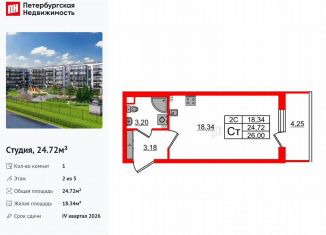 Продается квартира студия, 24.7 м2, Санкт-Петербург, метро Звёздная