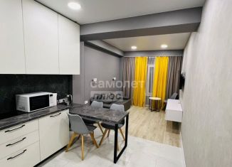 Продаю квартиру студию, 30.4 м2, Сочи, Вишнёвая улица, 5А, микрорайон Заречный