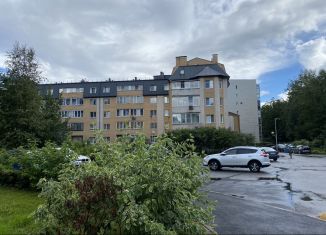 Продам двухкомнатную квартиру, 75 м2, Санкт-Петербург, Береговая улица, 18к3, муниципальный округ Шувалово-Озерки