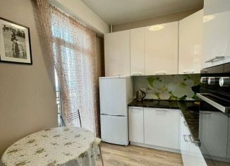 Сдам квартиру студию, 24 м2, Сочи, Курортный проспект, 96/4, микрорайон Приморье