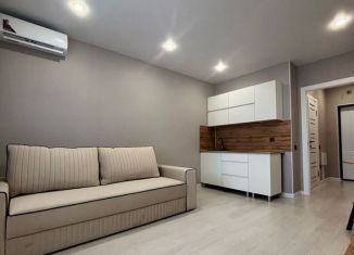 Сдам в аренду квартиру студию, 28 м2, Анапа, Рождественская улица, 55к2