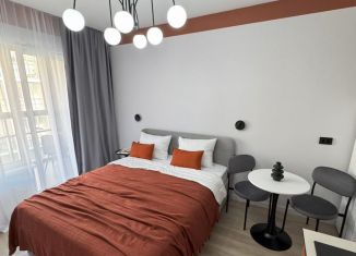 Сдается в аренду квартира студия, 26 м2, Сестрорецк, улица Инструментальщиков, 18