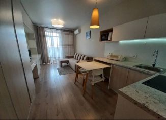 Продается квартира студия, 26.7 м2, Сочи, Виноградная улица, 230А, микрорайон Мамайка