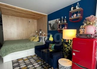 Продаю квартиру студию, 21.7 м2, Санкт-Петербург, улица Вадима Шефнера, 14к1, Василеостровский район