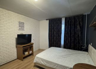 Сдаю в аренду 1-комнатную квартиру, 36 м2, Псков, Комиссаровский переулок, 7А