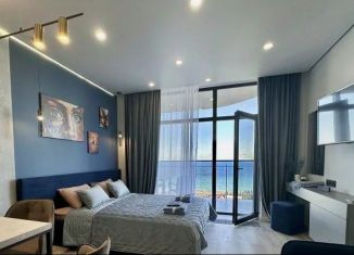 Продается 1-ком. квартира, 26 м2, Сочи, микрорайон Курортный Городок