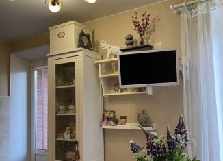 Продажа 2-ком. квартиры, 54.2 м2, Санкт-Петербург, улица Ильюшина, 15к2, Приморский район