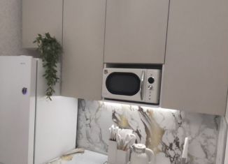 Сдается в аренду 1-ком. квартира, 36.6 м2, Мурино, улица Шувалова, 39