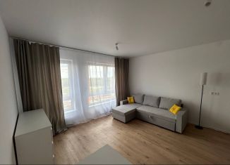 Квартира в аренду студия, 25.5 м2, деревня Новое Девяткино, Главная улица, ЖК Заречный Парк