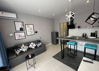 Продается квартира студия, 28 м2, Сочи, Орбитовская улица, 9