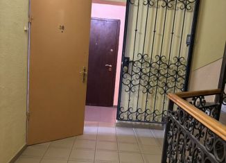 Сдается в аренду 1-ком. квартира, 44.8 м2, деревня Бородино, Варшавское шоссе, 72