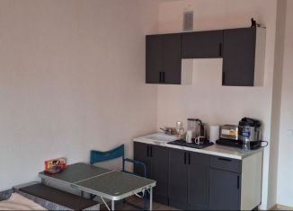 Продаю квартиру студию, 25.6 м2, Мурино, улица Шоссе в Лаврики, 78к3