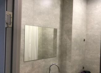 Продается квартира студия, 24.6 м2, Воронеж, Ростовская улица, 100БкА, ЖК Интурист