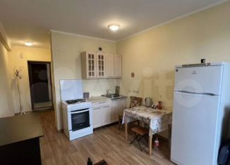 Сдам квартиру студию, 20 м2, Новосибирск, улица Твардовского, 22/6
