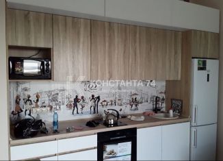Сдаю в аренду 1-комнатную квартиру, 48 м2, Челябинская область, Лесопарковая улица, 8
