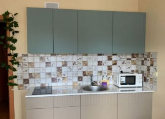 Аренда 1-ком. квартиры, 37 м2, посёлок Парголово, улица Фёдора Абрамова, 15