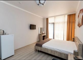 Продается квартира студия, 24.2 м2, Сочи, Полтавская улица, 67