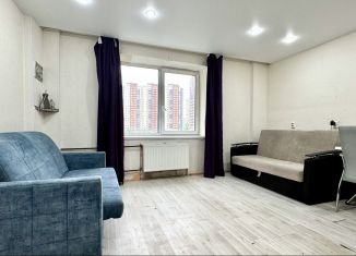 Продается квартира студия, 25.9 м2, Мурино, улица Шувалова, 16/9