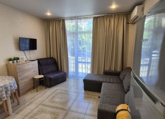 Квартира в аренду студия, 27 м2, Сочи, улица Гастелло, 27Б, микрорайон Голубые Дали