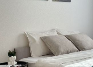 Продаю 1-комнатную квартиру, 36.2 м2, посёлок Парголово, Михайловская дорога