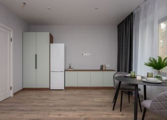 Продам квартиру студию, 24.8 м2, Санкт-Петербург, Челябинская улица, 37, метро Ладожская