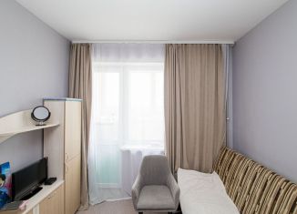 Продажа квартиры студии, 19 м2, деревня Афонино, улица Красная Поляна, 4