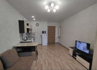 Продажа квартиры студии, 26.7 м2, село Зубово, улица Игоря Талькова, 4