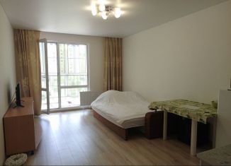 Продажа квартиры студии, 28 м2, село Новая Усмань, бульвар Художников, 3