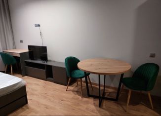 Квартира на продажу студия, 25.5 м2, Санкт-Петербург, дорога на Турухтанные Острова, 5к1, Кировский район