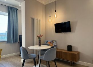 Продам квартиру студию, 30 м2, Санкт-Петербург, Серебристый бульвар, 19к2, Приморский район