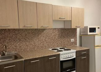 Сдача в аренду 1-комнатной квартиры, 40 м2, Краснодар, проспект имени писателя Знаменского, 9к3, микрорайон Почтовый