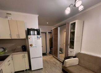 Продажа квартиры студии, 30 м2, Москва, 4-я Парковая улица, 17, ВАО