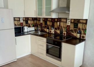 Продам однокомнатную квартиру, 47.5 м2, Екатеринбург, улица Белинского, 177Ак3, Октябрьский район