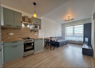 Сдам в аренду однокомнатную квартиру, 35 м2, городской посёлок Янино-1, Голландская улица, 16