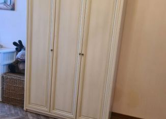 Сдача в аренду комнаты, 24 м2, Санкт-Петербург, улица Некрасова, 45, Центральный район