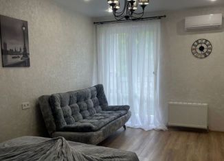 Сдается в аренду однокомнатная квартира, 30 м2, Сочи, улица Искры, 88к8