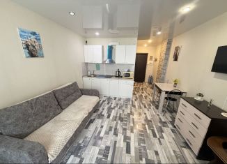 Продаю квартиру студию, 31 м2, Ростов-на-Дону, Заводская улица, 25