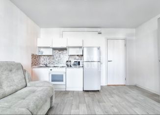 Сдам в аренду квартиру студию, 24.1 м2, деревня Новое Девяткино, Главная улица, 12