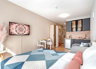 Продаю квартиру студию, 23 м2, деревня Ивановское, улица Семёна Гордого, 12