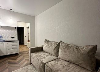 Сдам в аренду 1-комнатную квартиру, 30 м2, Новосибирск, Светлановская улица, 52/1