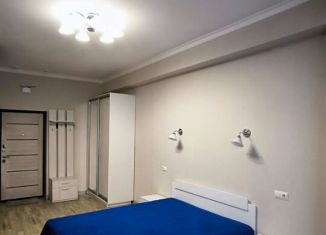 Сдается однокомнатная квартира, 28 м2, Сочи, улица Гастелло, 28к1, микрорайон Голубые Дали