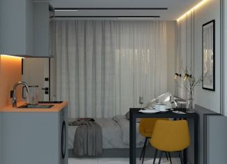 Квартира на продажу студия, 10.1 м2, Санкт-Петербург, Малый проспект Васильевского острова, 30-32, Василеостровский район