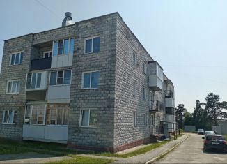 Продажа 2-комнатной квартиры, 54.5 м2, Кыштым, Каолиновая улица, 1