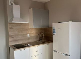 Сдаю в аренду квартиру студию, 27 м2, Екатеринбург, Советская улица, 62Б, ЖК Цветной Бульвар