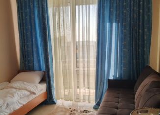 Продажа двухкомнатной квартиры, 31.4 м2, поселок городского типа Николаевка, Чудесная улица, 2/47