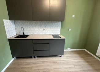 Сдается 1-комнатная квартира, 34 м2, Колпино, Загородная улица, 45к4