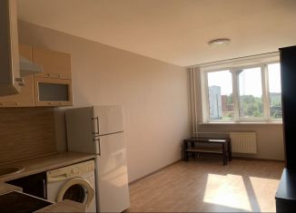 Продаю квартиру студию, 22.4 м2, деревня Хохряки, Тепличная улица, 30